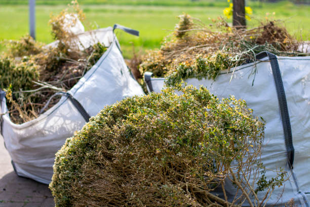 Best Basement Cleanout Services  in East Port Orchard, WA